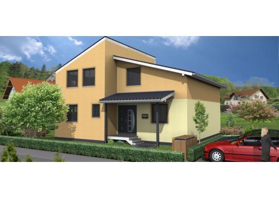 Pultdachhaus 140